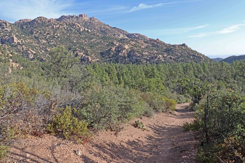 Granite Mountain from Clark Spring Trail